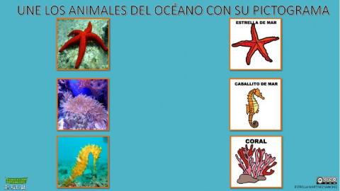 Une los animales del océano