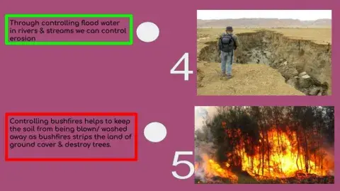 Human effects on the environment