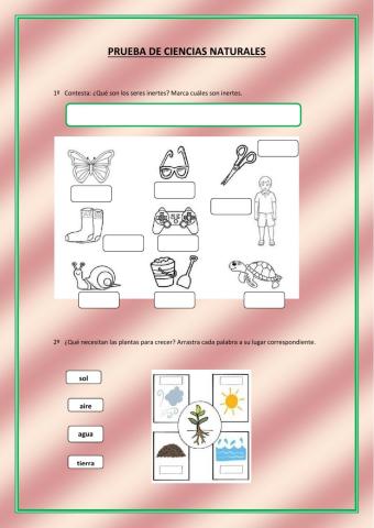 Las plantas y materiales