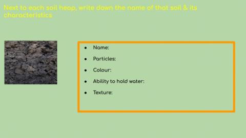 Clay soil