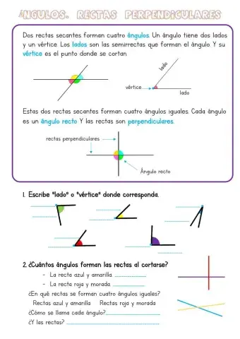 Ángulos. Rectas perpendiculares