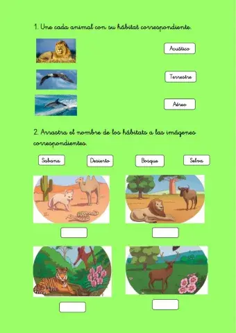 Hábitats de los animales