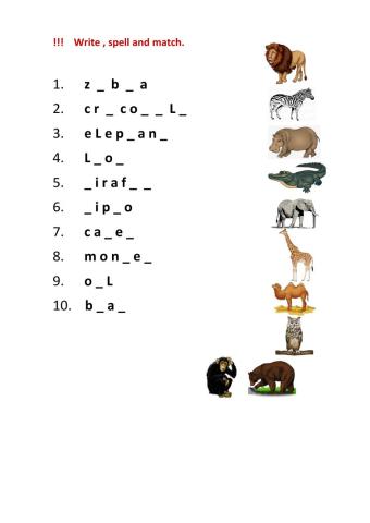 Animals Spelling