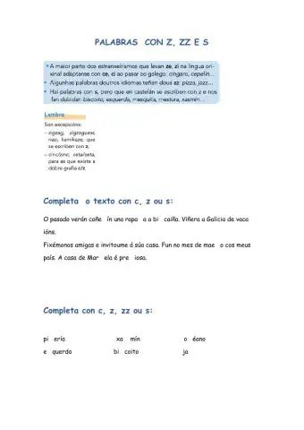 Palabras con z, zz e s