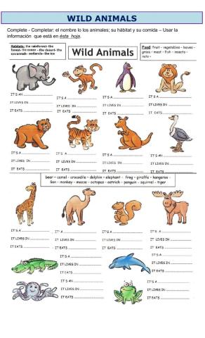 Complete about the wild animals