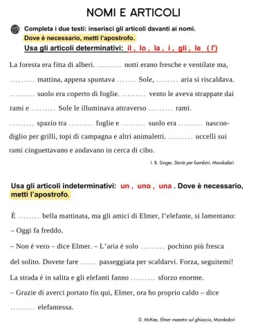 Concorda l'articolo con il nome