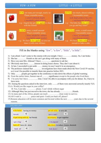 Few- a few  -  little - a little