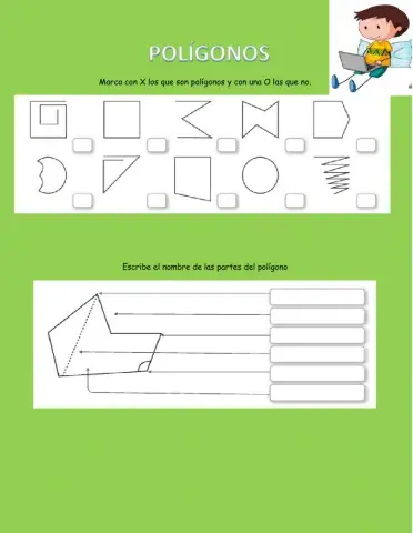 Polígonos