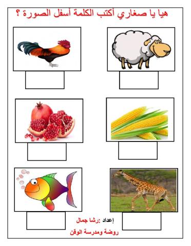 هيا يا صغاري أكتب الكلمة المناسبة للصورة