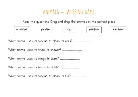Animals - guessing game