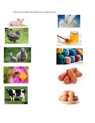 Utilidad de los animales