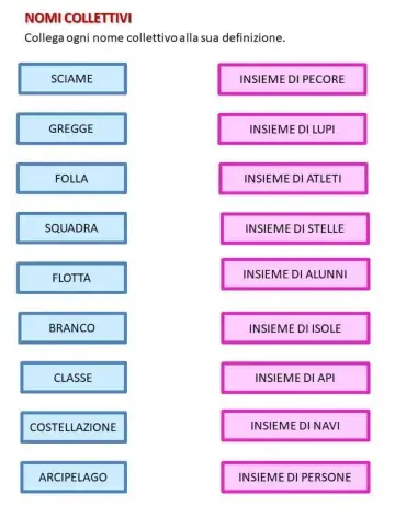Nomi collettivi