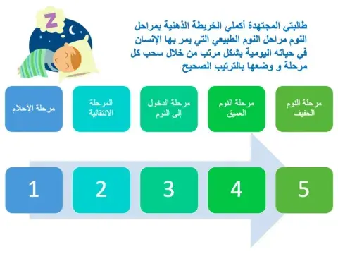 مراحل النوم