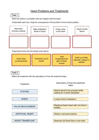 Heart Problems and Treatments