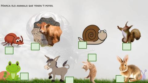 Quantes potes tenen?