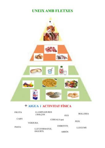 Piràmide aliments
