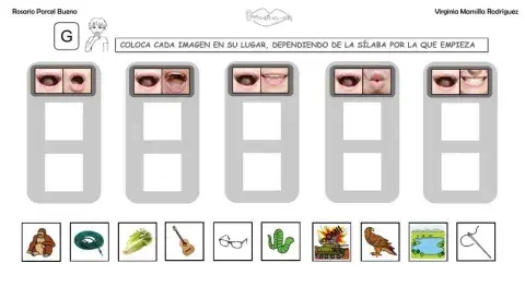 Clasificar sílabas con sonido G en palabras, con articulemas.