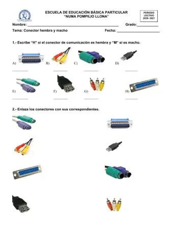 Conectores hembra y macho