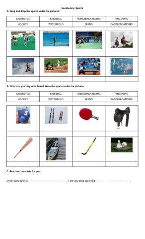 Vocabuary: Sports