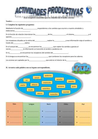 Función de relación y los receptores