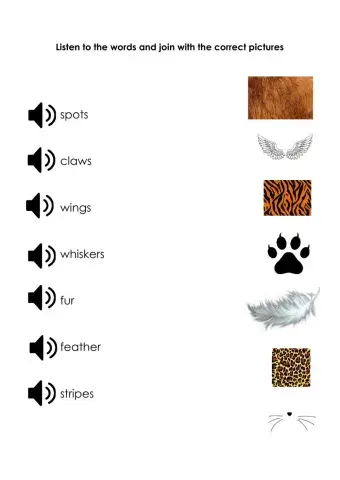 Animal vocabulary