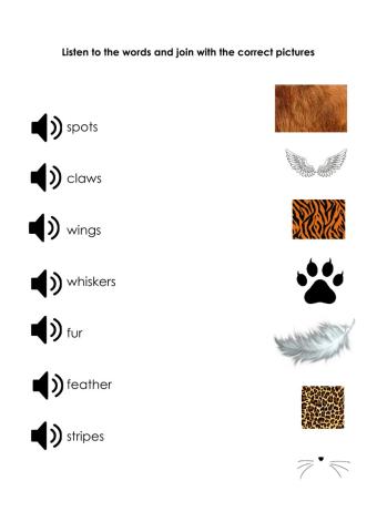 Animal vocabulary