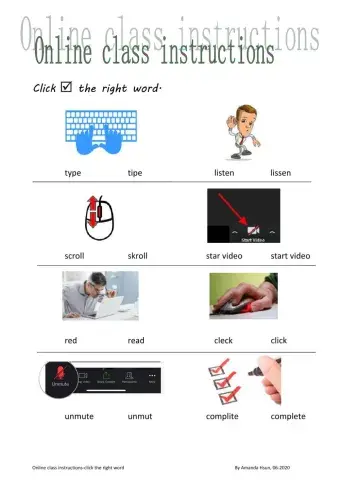 Online class instructions