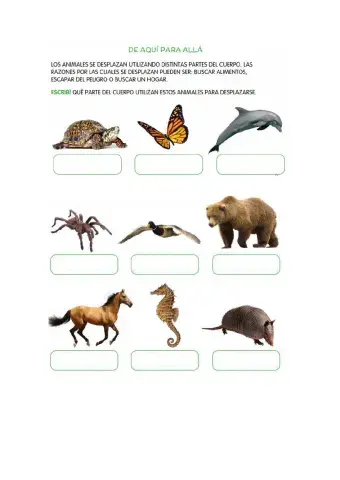 Partes del cuerpo que los animales utilizan para desplazarse