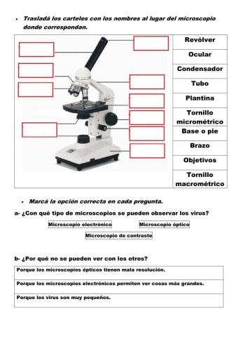 Partes del microscopio