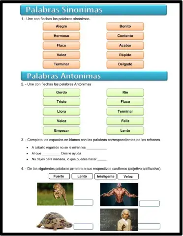 Sinonimos, antonimos y adjetivos