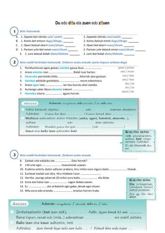 DU edo DITU eta ZUEN edo zituen