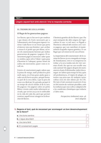 Comprensió lectora 5