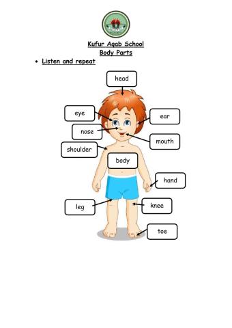 Body parts: Listen and repeat