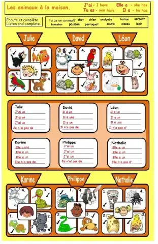 Les animaux à la maison - pets