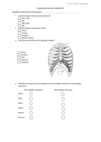 Los huesos del cuerpo humano