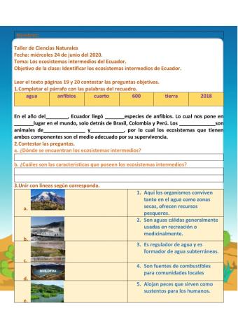 Los ecosistemas intermedios