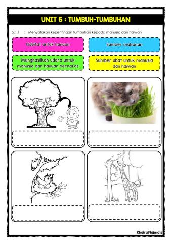 Unit 5: Tumbuh-tumbuhan
