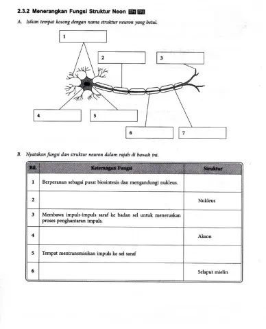 Sains sukan bidang 2