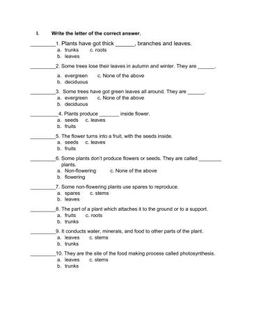 Unit 4: All about plants