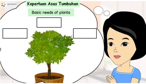 Basic needs of plant