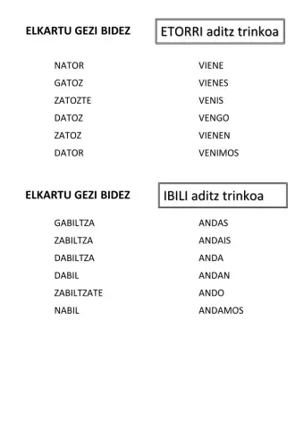 Aditz trinkoa euskera-gaztelania