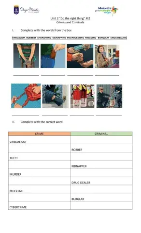 Crimes and Criminals Vocabulary