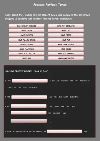 Present Perfect Tense - (3rd..  Part) Housing Project Report