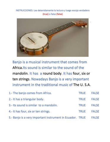 A musical instrument