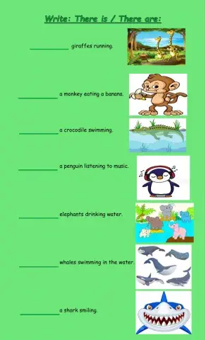 There is -there are-animals