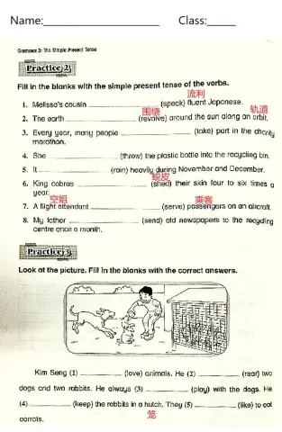 Grammar - Simple Present Tense (2)