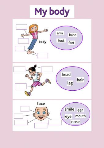 Starters practice Cambridge Exams