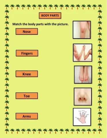Body parts