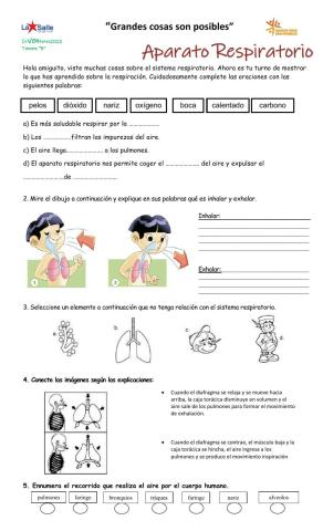 Aparato respiratorio