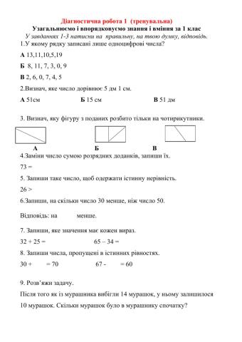 Діагностична робота 1